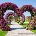 Dubai Miracle Garden: The Most Beautiful and Largest Flower Garden in World