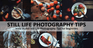 Still Life Photography Tips