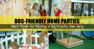 Dog-Friendly Home Parties