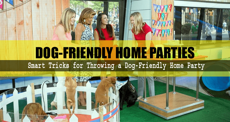 Dog-Friendly Home Parties