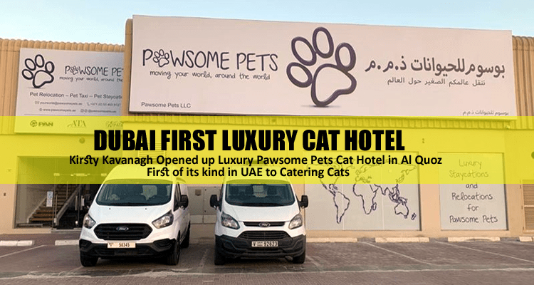 Dubai Luxury Cat Hotel