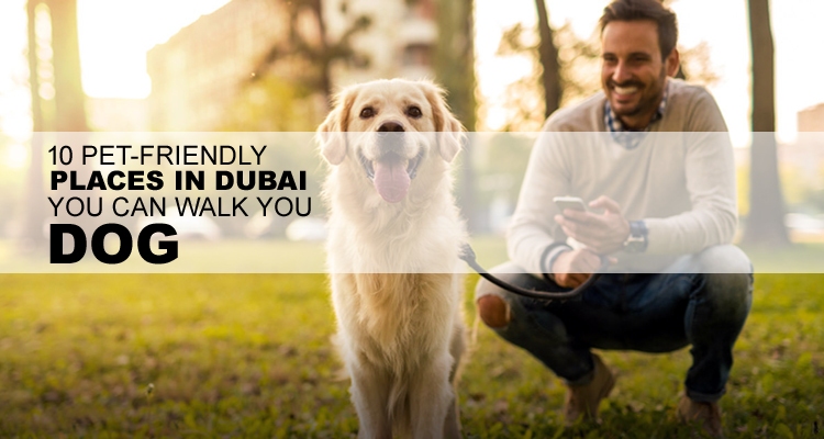 Pet-friendly places in Dubai to walk your dog