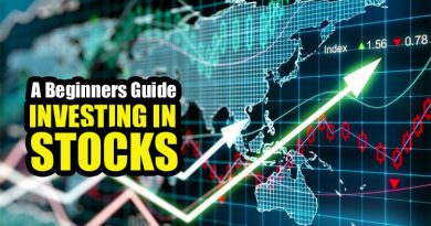 A Beginners Guide to Investing in Stocks