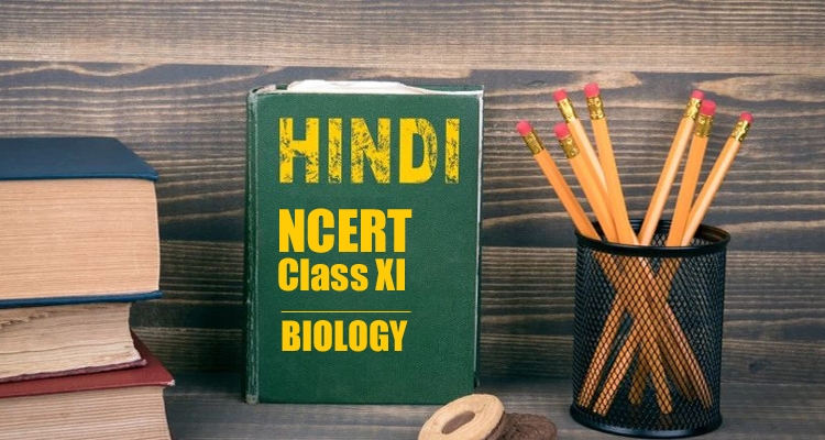 NCERT Books Class 11 BIology