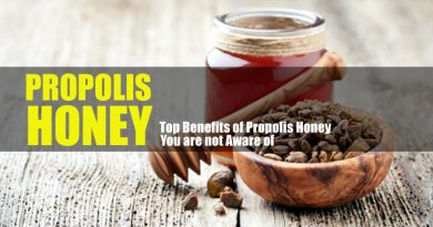 7 Excellent Propolis Honey Health Benefits