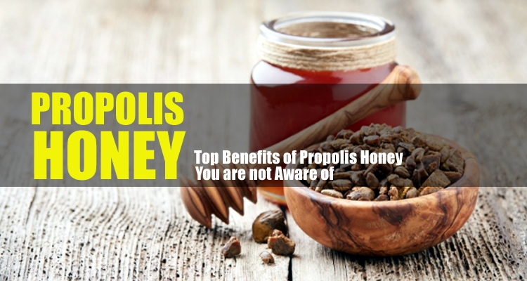 7 Excellent Propolis Honey Health Benefits