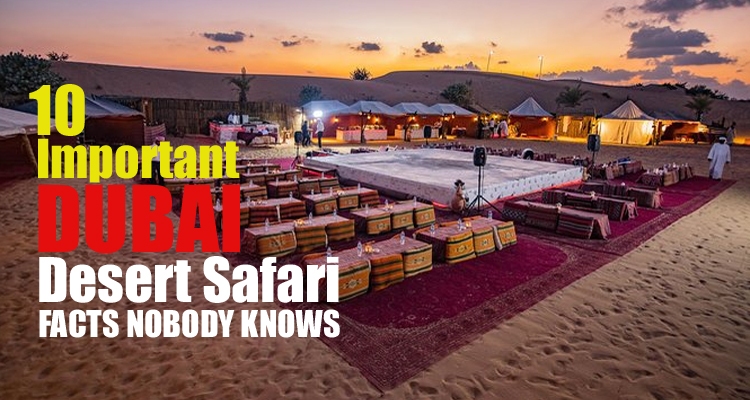 Dubai Desert Safari Facts
