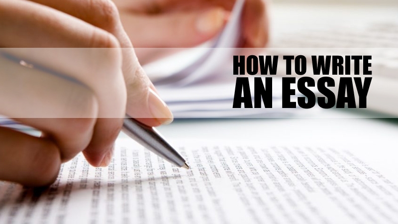 How to Write the Essay
