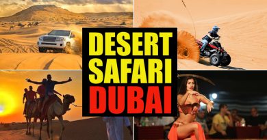 Desert Safari Dubai Technique