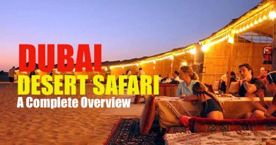 A complete Dubai Desert Safari Overview
