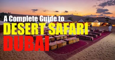 Dubai Desert Safari Guide