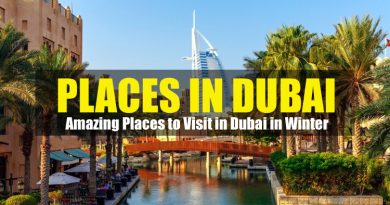 Places in Dubai to Visit in Winter