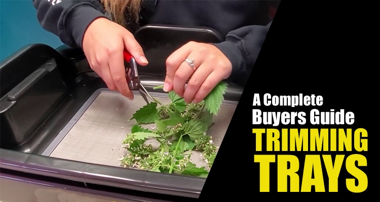 Trimming Trays Buyers Guide