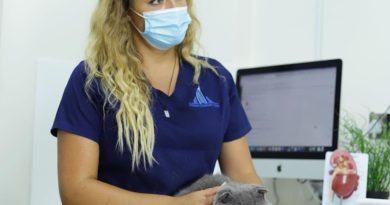 veterinary clinic for your pet