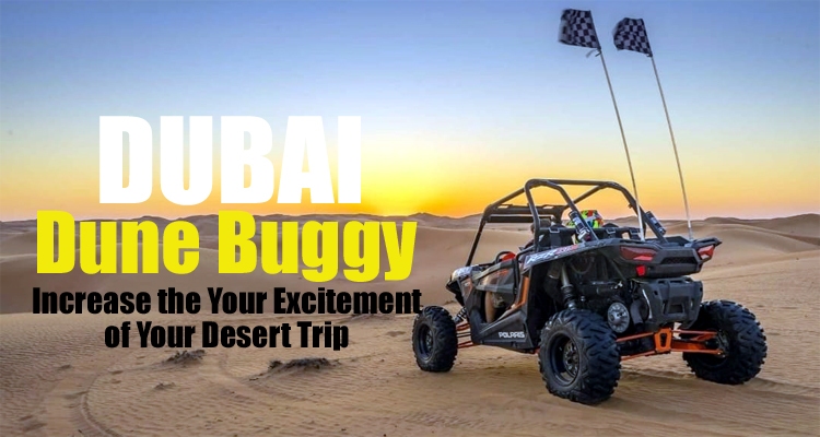 Dubai Desert Trip with Duny Buggy