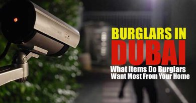Burglars in Dubai