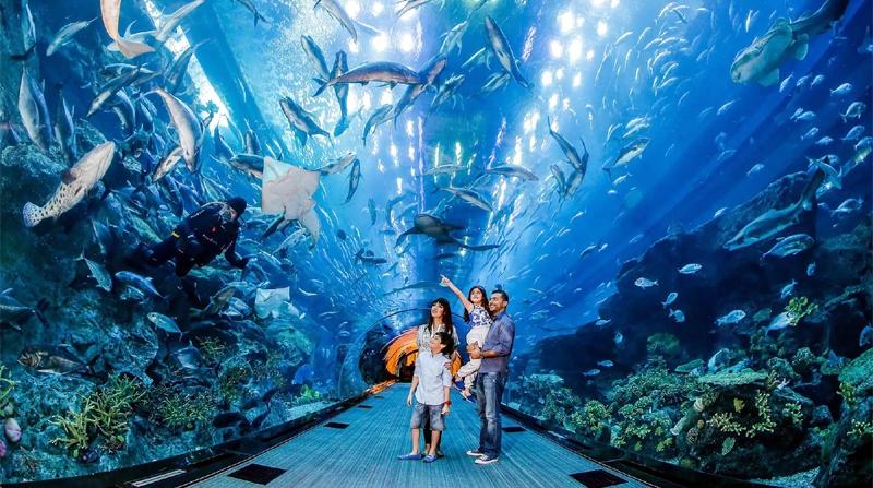 Dubai Underwater Zoo 2023