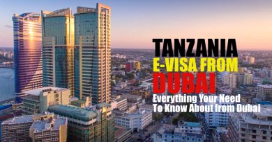 Tanzania E-Visa from Dubai