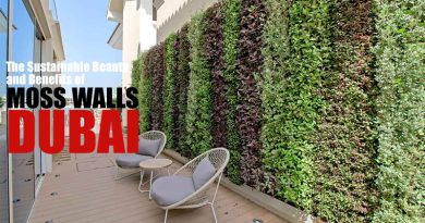 Benefits of Moss Walls in Dubai