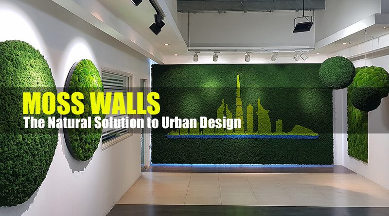 Moss Walls in Dubai
