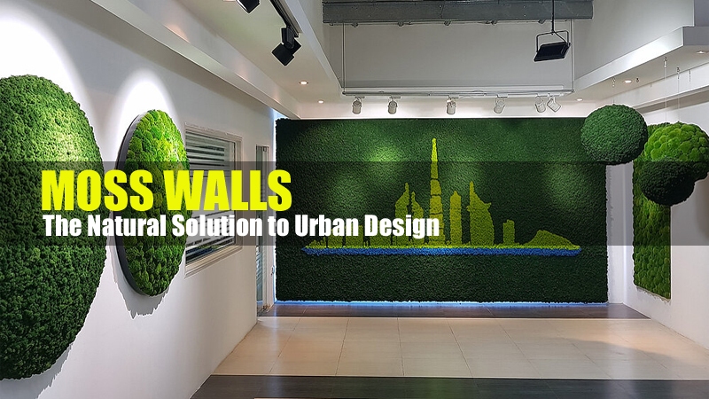 Moss Walls in Dubai: The Natural Solution to Urban Design