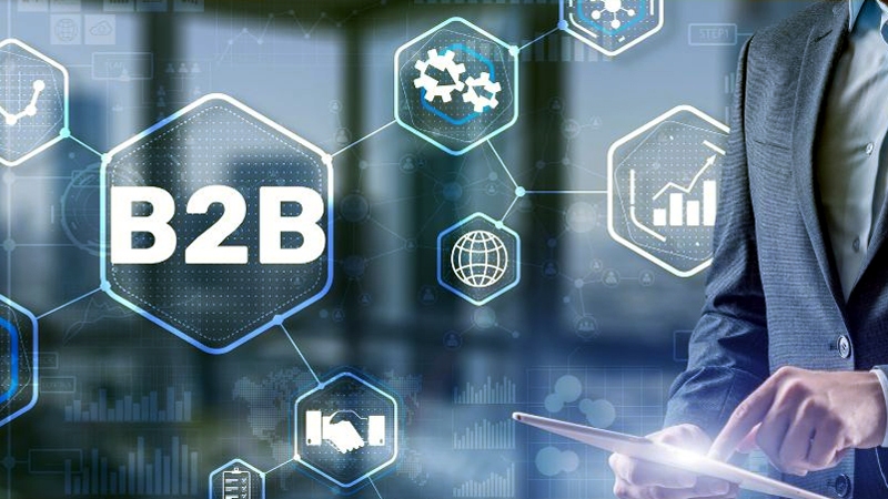 What is B2B Marketplaces?