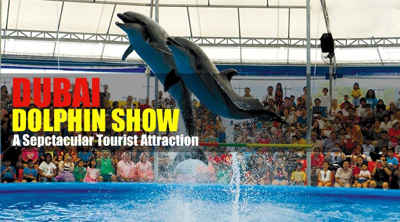 Dubai Dolphin Show at Dolphinarium
