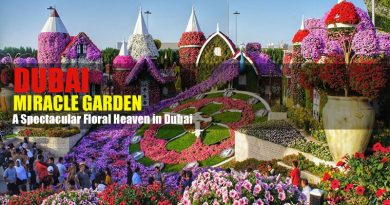 Dubai Miracle Garden - A Floral Heaven in Dubai