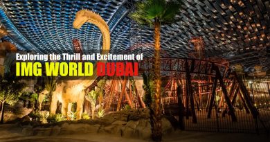 Exploring IMG World Dubai