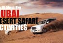 Must-Try Dubai Desert Safari Activities