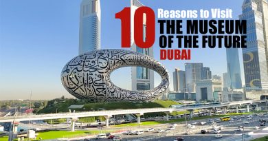10 Reasons to visit The Museum of the Future Dubai