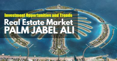 Real Estate Market of Palm Jabel Ali