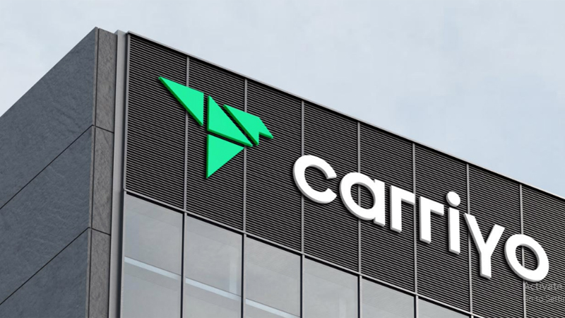 E-Commerce Success with Carriyo