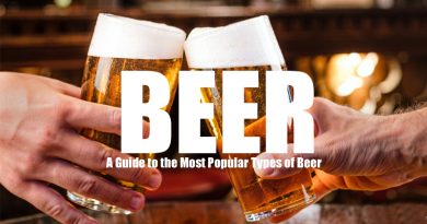 Most Popular Types of Beer