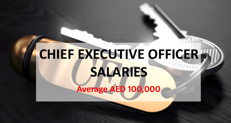 Chief Executive Officer CEO Salary Dubai