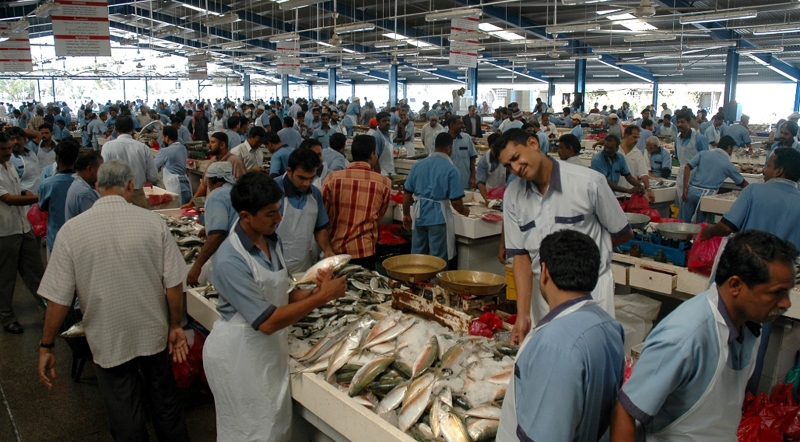 Deira Fish Market Dubai