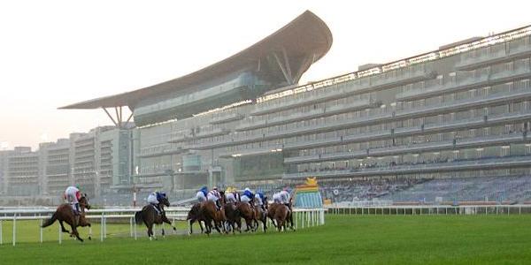 Nad Al Sheba Racecourse Dubai