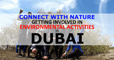 Environmental Activities in Dubai
