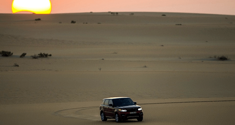 Morning Desert Safari Ride