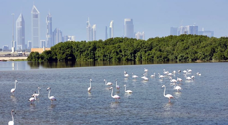 Nature places in Dubai